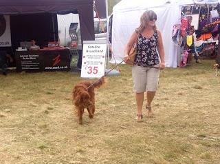 #lyf Chesterfield Canal Festival