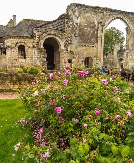 photo of rose in front of church ruins at Saint-Cosme Priory