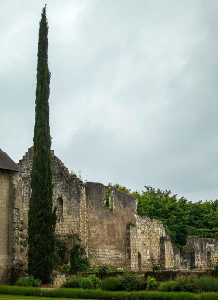 Photo of tall poplar and ruins at Saint-Cosme Priory