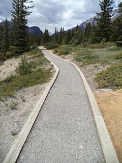 Summer MOMday: Campground Review - Tunnel Mountain (Banff)