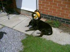 PICT0135 A scorcher of a barbecue! #TheCharcoalChallenge