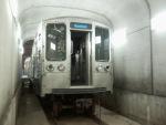 Collected Subway Cars by Brame UW