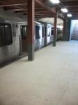 Collected Subway Cars by Brame UW