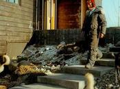 Alaska's Best Modern Homes