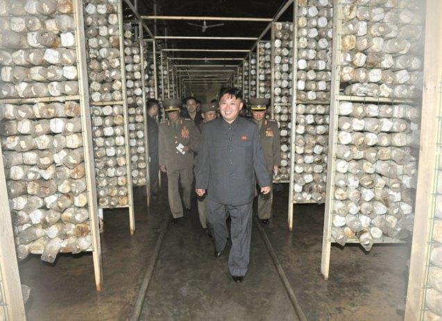 Kim Jong Un tours a mushroom farm constructed by an agricultural unit subordinate to KPA Unit #534 (Photo: Rodong Sinmun).