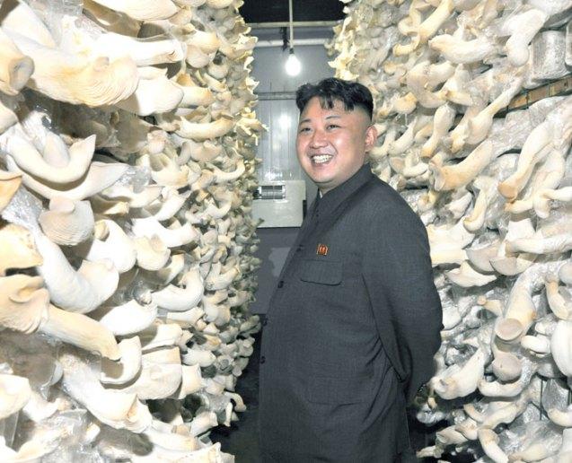 Kim Jong Un tours a mushroom farm constructed by farm #1116, subordinate to KPA Unit #534 (Photo: Rodong Sinmun).