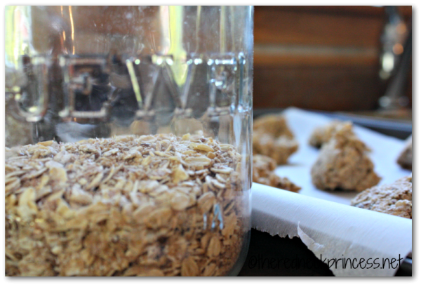 oatmeal and cookies