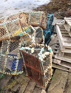 Lichen, Lobster Boxes, Highland Cows