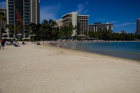 IMG 3232 650x433 Oahu: Nicos and Waikiki Beach