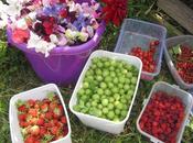 Guzzgoggery Other Tales