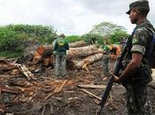 Tanks Move Around Earth’s Most Threatened Tribe