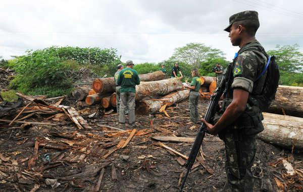 Brazil's military has moved in to stop illegal logging around the land of Earth's most threatened tribe. 