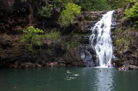 IMG 3253 650x433 Oahu: Waimea Falls