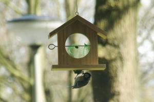 Birdfeeder with great tit