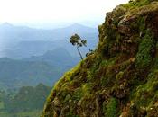 Roof Africa: Spectacular Beauty Ethiopian Highlands