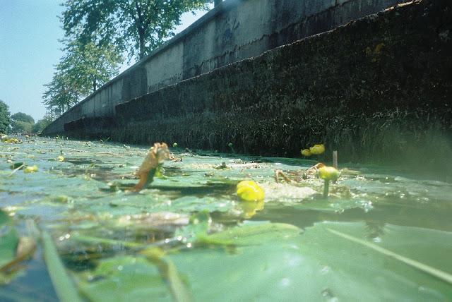 Kayaking on the Grand Canal