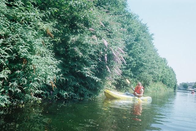 Kayaking on the Grand Canal