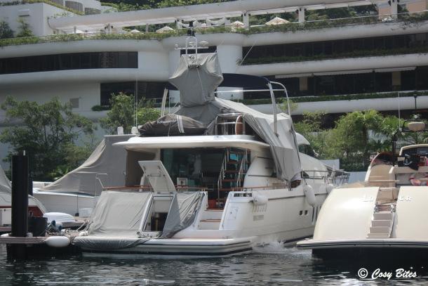 Yacht at Aberdeen Marine Club