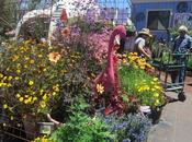 Francisco Approach Selling Plants