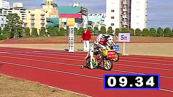 VIDEO: Witness 2 Dalmatians Compete in a Tricycle Race!