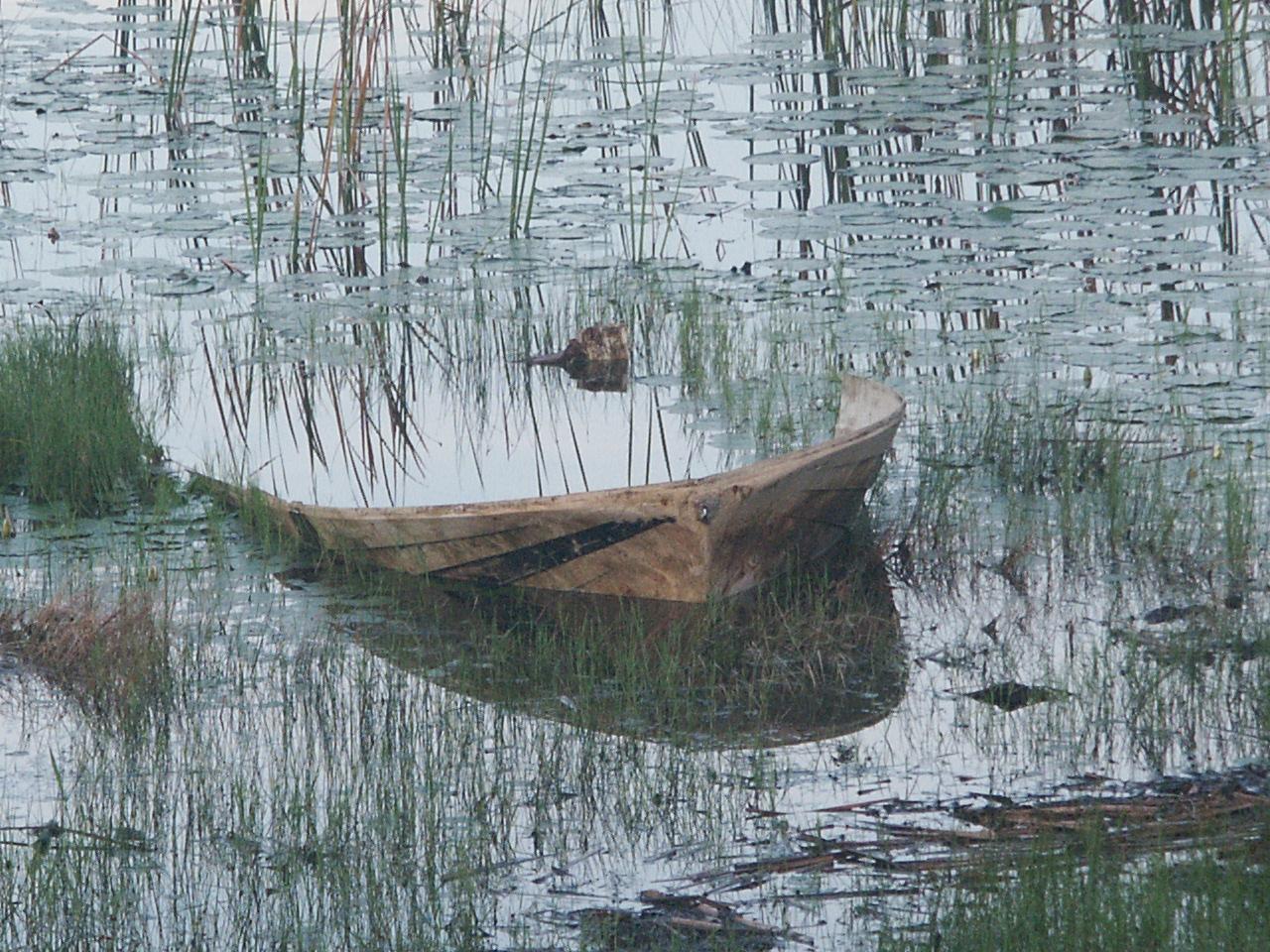 Carnage of a boat