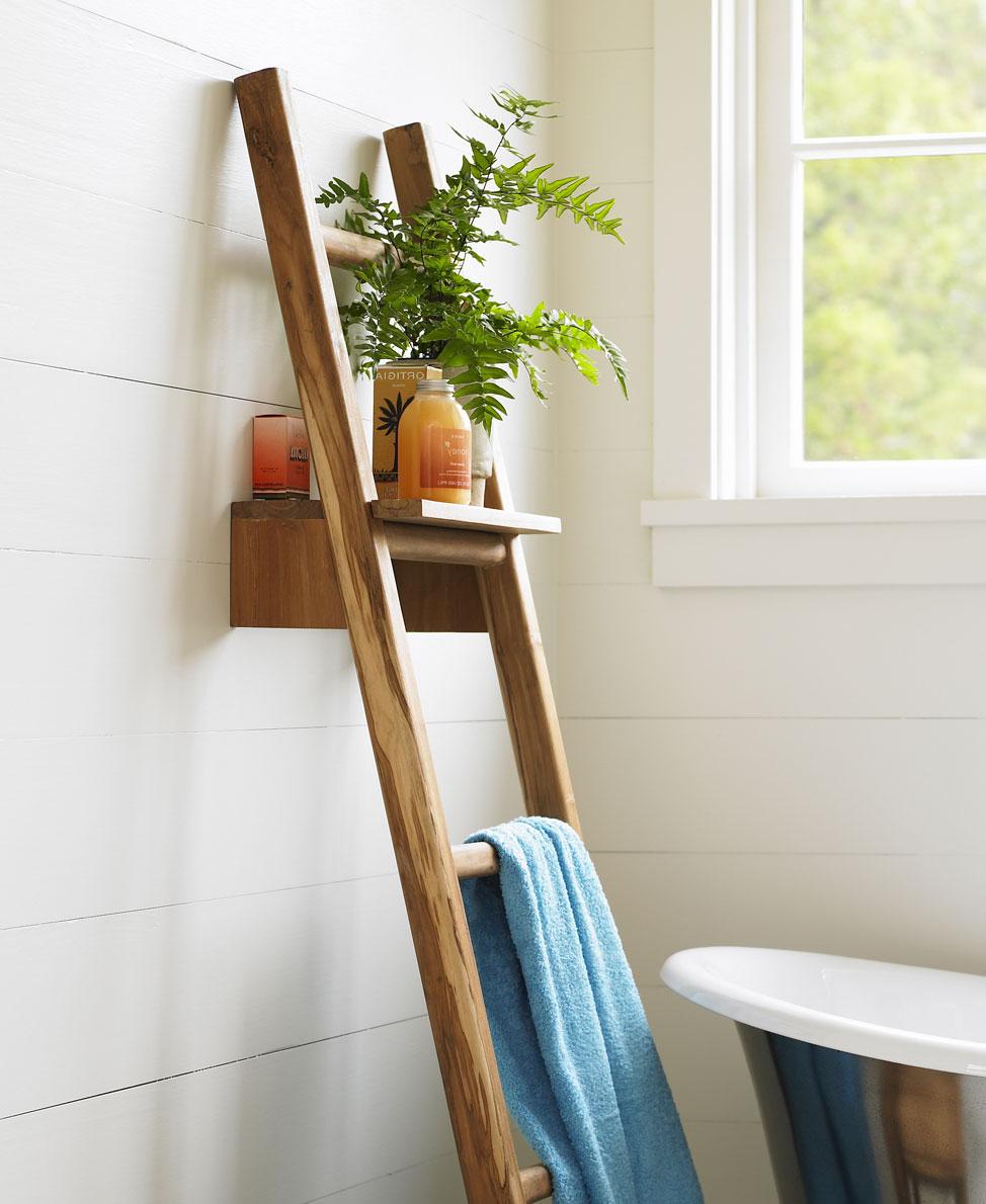 Teak Ladder with Shelf