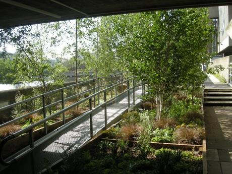 Queen Elizabeth Hall Woodland Roof Garden - Ramp and Steps