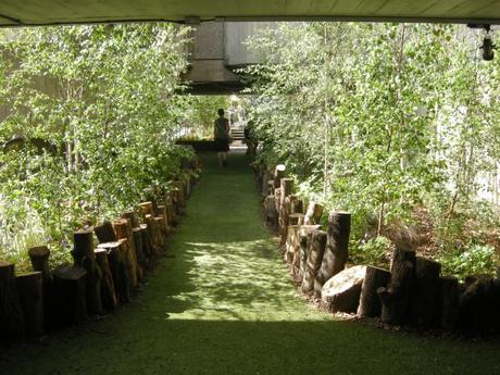 Queen Elizabeth Hall Woodland Roof Garden - Woodland Cutting