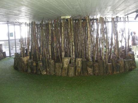 Queen Elizabeth Hall Woodland Roof Garden - Birch Stand