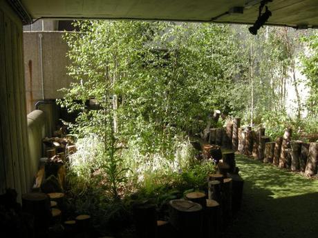 Queen Elizabeth Hall Woodland Roof Garden - Planter