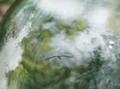 Visual Escapism Photography Komac