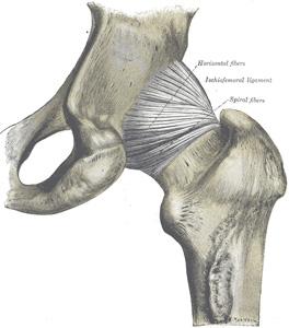 Friday Q&A;: Helping a Student with a Hip Replacement