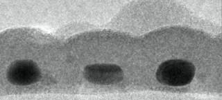 An electron micrograph shows the cross-sectional view of the record-thin absorber layer created at Stanford. Shown are three gold nanodots, each about 14-by-7 nanometers in size, coated with in sulfide. (Credit: Carl Hagalund)