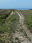 The Grochall Track - the older way to Kynance Cove (photo: Amanda Scott)