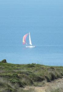 Sailing through Kynance (photo: Amanda Scott)