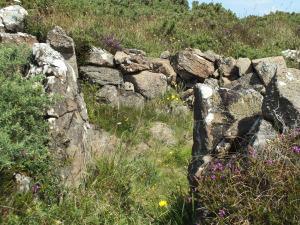 Roundhouse at Kynance Gate prehistoric village (photo: Amanda Scott)