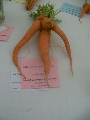 PICT0083 A village show #CountryKids