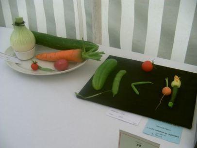 PICT0084 A village show #CountryKids