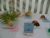 PICT0086 A village show #CountryKids