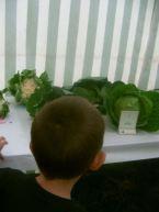 PICT0081 A village show #CountryKids