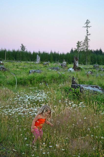 nature, sunset, pacific northwest, washington, nature, field, country, lifestyle, photography, fleur d'elise