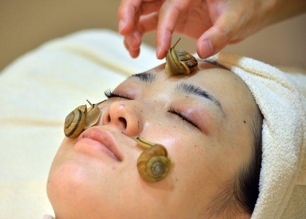 Japanese salons offer snail facials