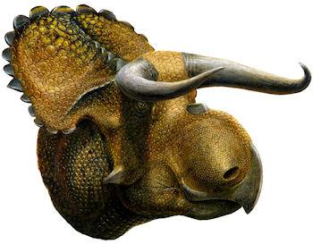 New Dinosaur Species Found That Looks Like A Cow