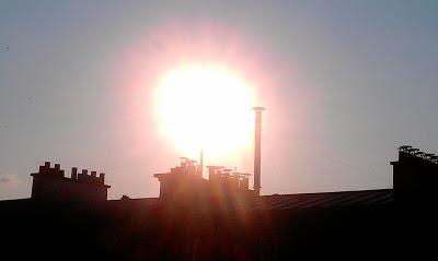 Happy Sunday Everyone!