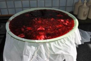 Redcurrant jelly straining