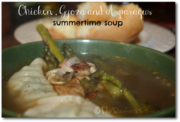 Chicken, Gyoza and Asparagus Summertime soup