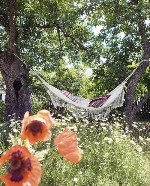 Simone Design Blog: Hammock Designs