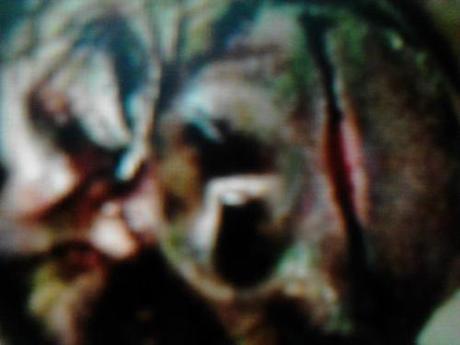 Bigfoot News July 22, 2013 Fake photo of Dyer's Bigfoot stolen from a Photoshopped Humanzee graphic.