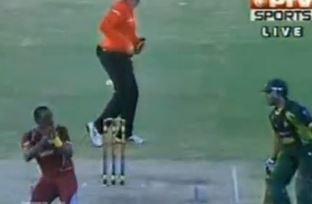 Misbah hit umpire Steve davis