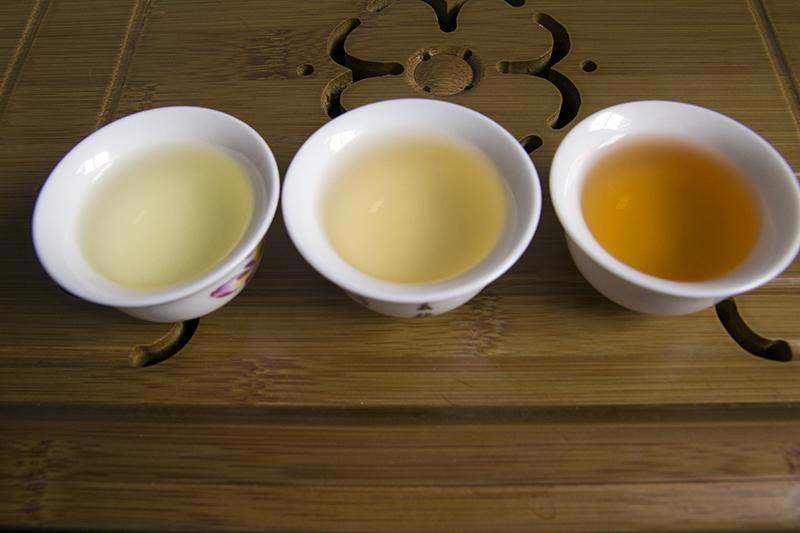 Navigating through the Diverse World of Oolong Tea